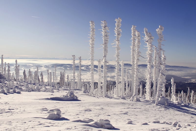Winter Wonderland Wedding